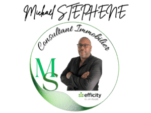 Consultant immobillier