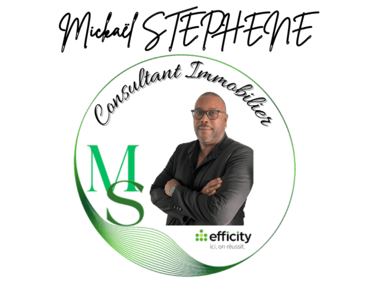 Consultant immobillier